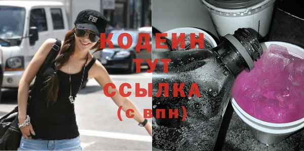 соль ск Каменногорск