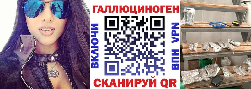 Купить закладки  Дно  Галлюциногенные грибы Psilocybine cubensis 