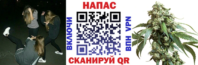 Каннабис тримм Дно
